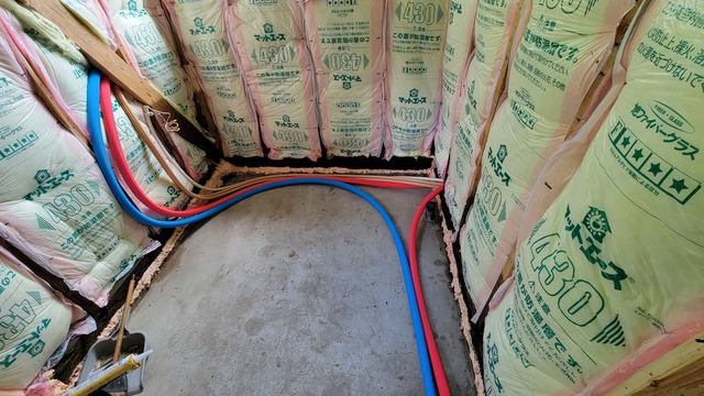 20220713_094011.jpg
